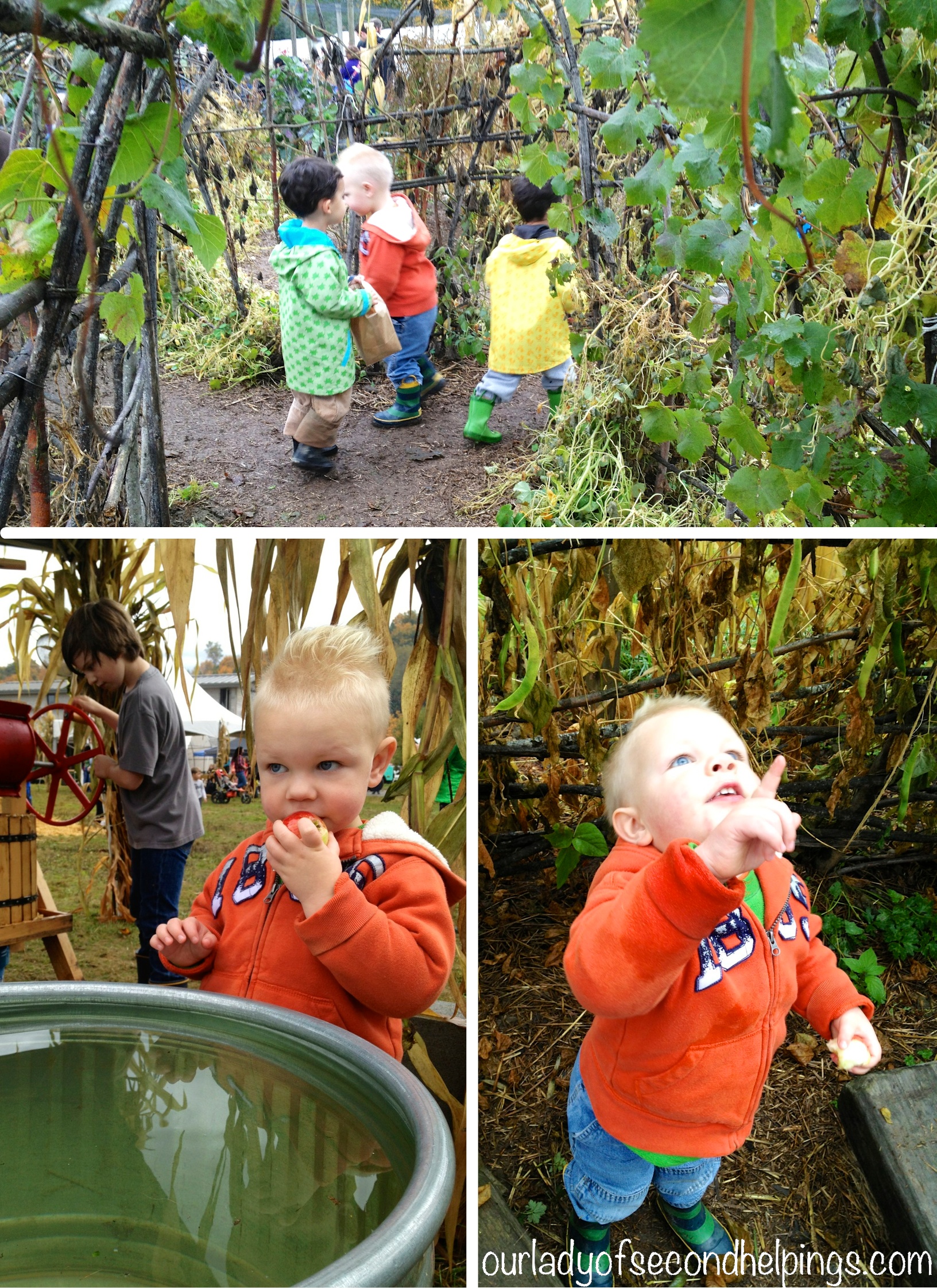 The Little Helping at Oxbow Farm Boy at farm