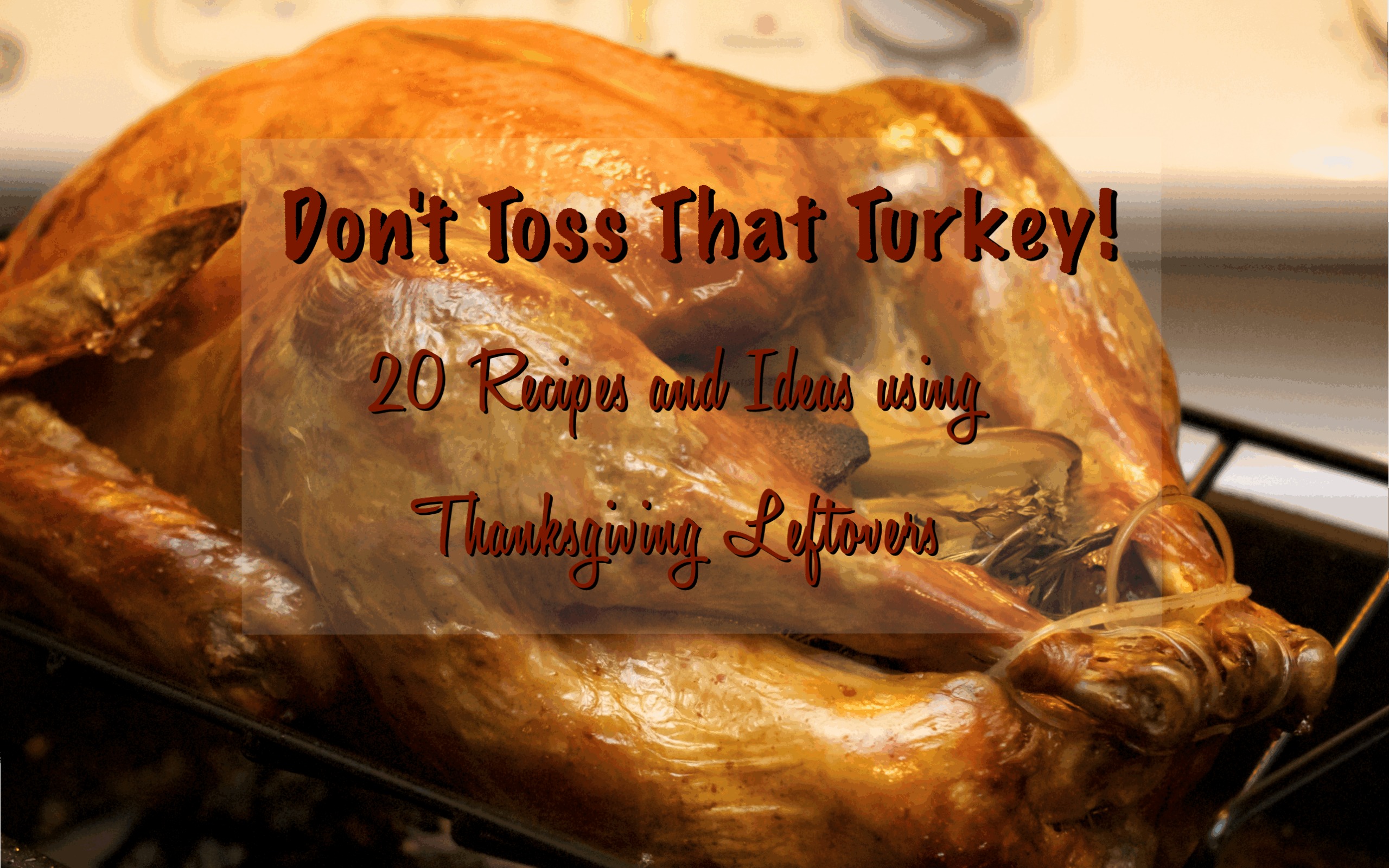 Recipes and Ideas Using Thanksgiving Leftovers Roast Holiday Turkey