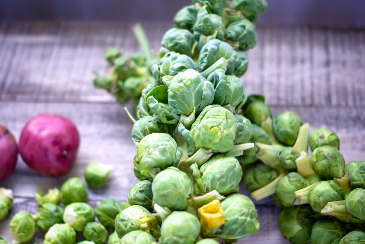 Gorgonzola-Brussels Sprout Hash; turn simple fall vegetables into a gourmet comfort food perfect for any meal of the day. Add an egg for a healthy meal.