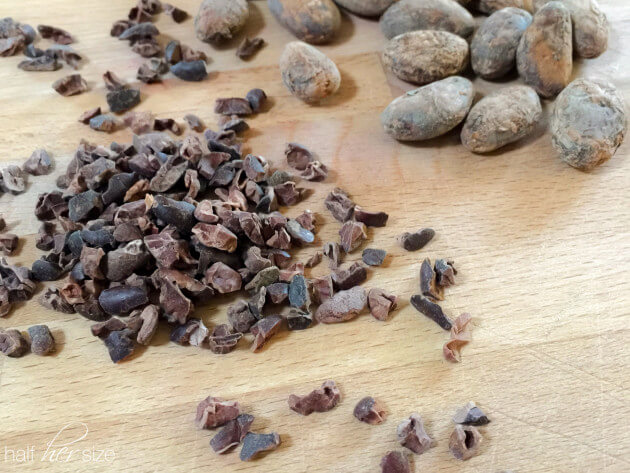 Cocoa Nibs and Whole Roasted Cocoa Beans