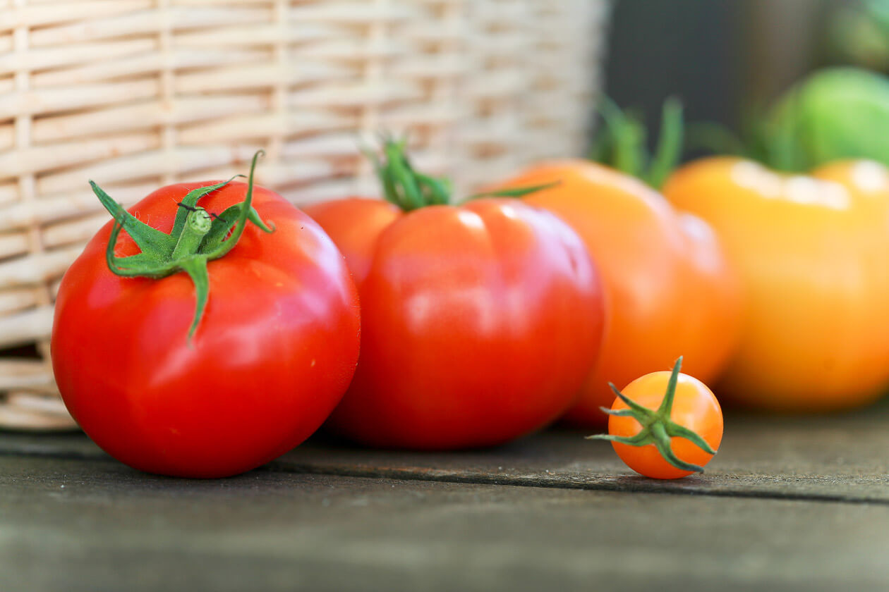 Fresh Tomatoes for Marinara Sauce