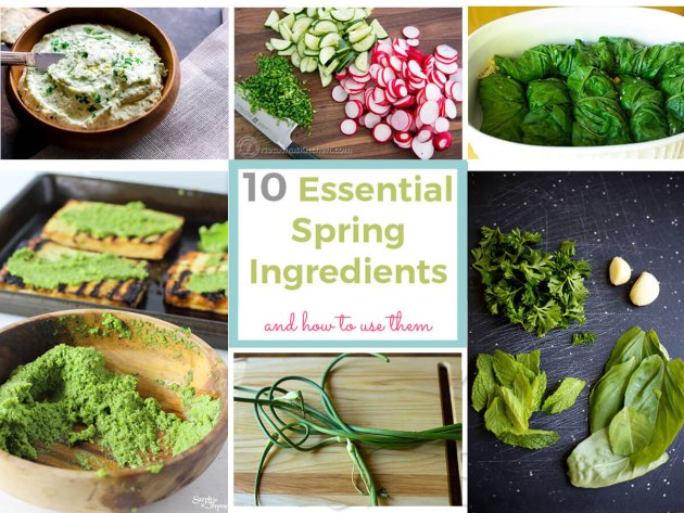 Shake off the sluggish feelings of winter with these 10 essential Spring ingredients and mouthwatering weight loss friendly recipes.